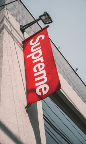 Bold Minimalism Beispiel Supreme